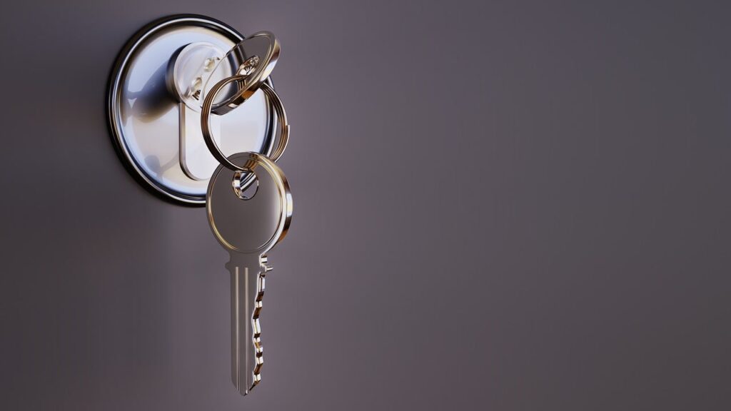 Decentralized Identity: The New Frontier with Self Key